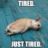 Sleep Deprivation