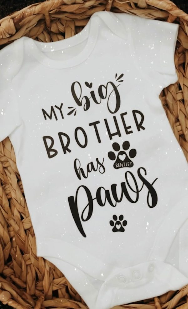 My Big Brother Has Paws